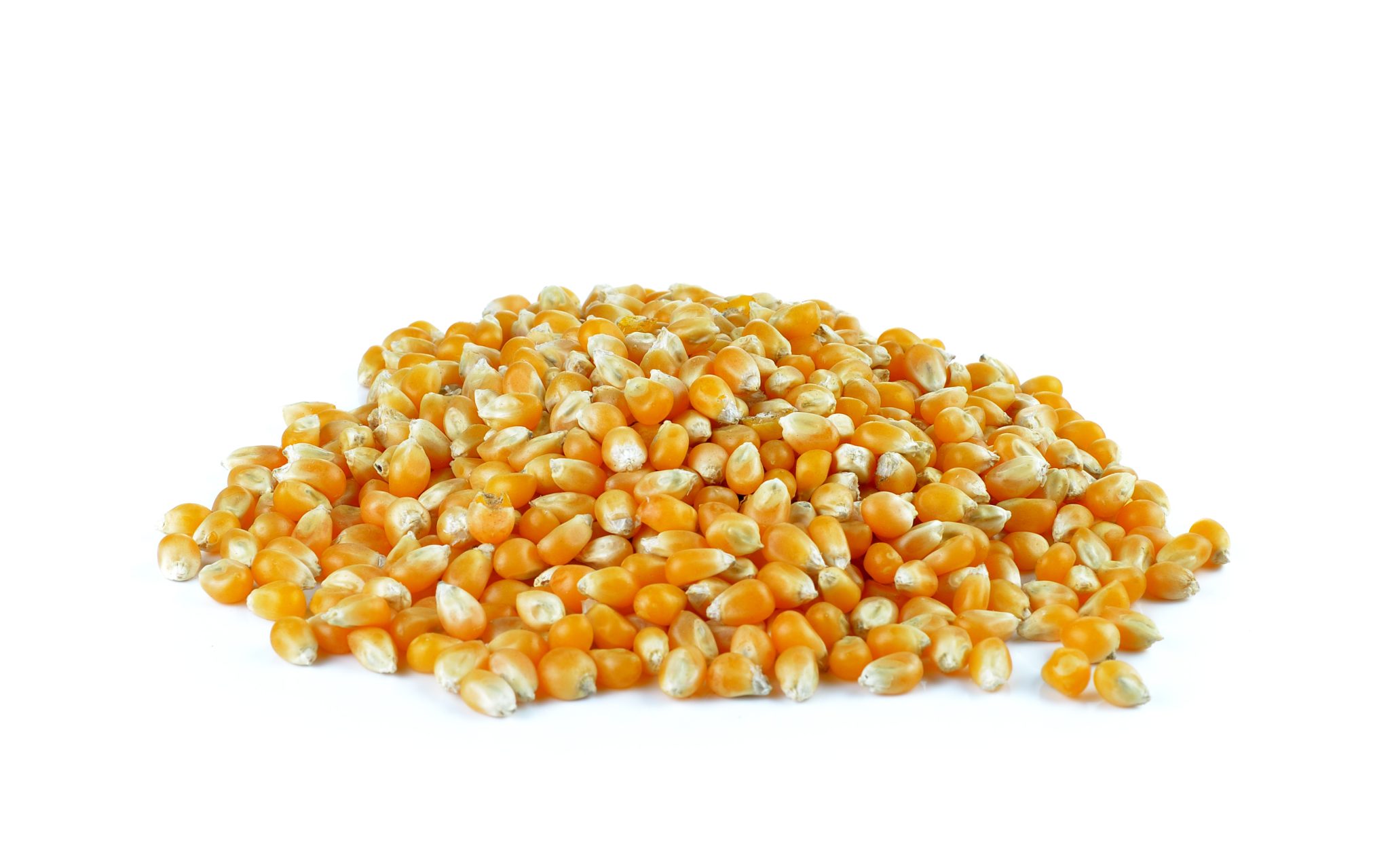 Popcorn Kernels - Organic