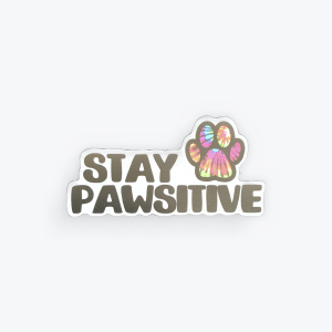 Stay Pawsitive Car Magnet