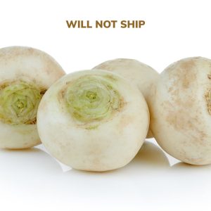 Organic Turnips - Hakurei - Lancaster Farm Fresh Co-op
