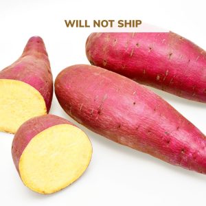 Sweet Potatoes - Murasaki - Central PA Produce Co-op