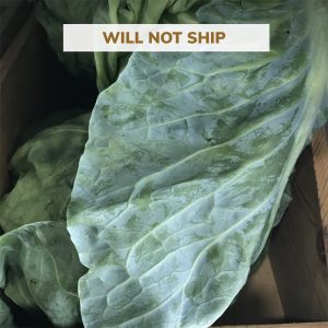 Organic Green Cabbage - Lancaster Farm Fresh Co-op