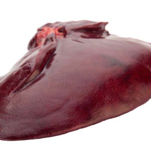 A picture of our whole pork liver on white background