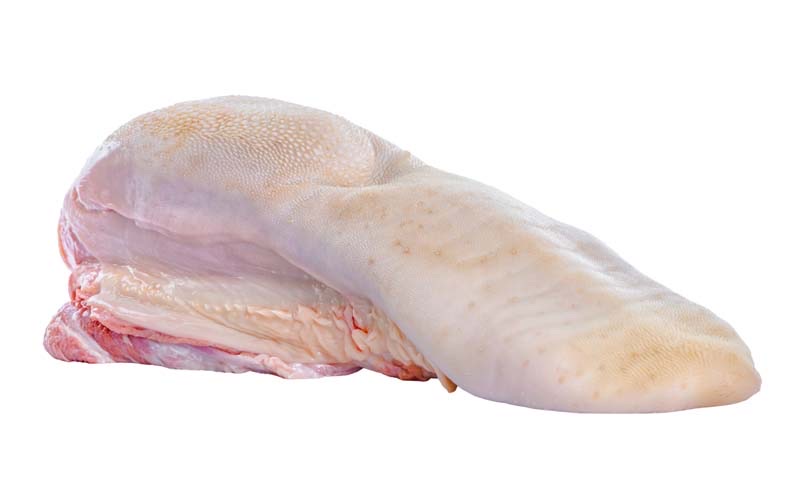 Raw Organic Beef Tongue on White Background