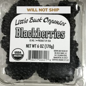 Organic Blackberries - Lancaster Farm Fresh Co-op