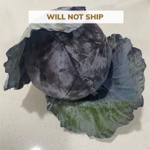 Organic Red Cabbage - Lancaster Farm Fresh Co-op